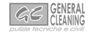 general cleaning